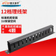 普天泰平（PTTP） G/MPX01型一體化綜合配線架/柜 ODF DDF MDF VDF EDF 12檔水平線纜管理器（1U 19英寸理線架）