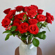 【順豐冷鏈】精品A級高原紅高盛珍愛(ài)驕傲玫瑰鮮花云南基地直發(fā) 珍愛(ài)20枝
