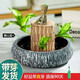 綠蔭巷子帶芽巴西木好養(yǎng)活水培植物幸運(yùn)木桌面綠植小盆栽辦公室內(nèi)水養(yǎng)送禮 帶芽11cm【寬邊幽山盆】格魯特 【大號(hào)】直徑7-8厘米 含營養(yǎng)液