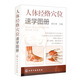 人體經(jīng)絡(luò)穴位速學(xué)圖冊(cè)