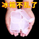 Aseblarm冰箱分隔板日式側(cè)門(mén)創(chuàng)意整理收納分類分格板夾子家用多功能卡扣片 冰箱變大一分類防到 2O片【大冰箱】