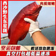 海南西沙東星斑魚新鮮海鮮鮮活冷凍燕星斑瓜子斑空運冷鏈 兩條兩斤裝