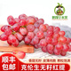 鵬翔宇【順豐包郵】正宗山西克倫生無(wú)籽紅提葡萄脆甜一整箱新鮮孕婦水果 凈重2斤克倫生【嘗鮮裝】