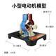 小型電動(dòng)機(jī)模型物理電磁學(xué)可拆卸組裝教學(xué)教具學(xué)生科普器材 小型電動(dòng)機(jī)模型+3個(gè)五號(hào)電池盒