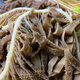 火鍋毛肚新鮮牛百葉千層肚涮火鍋食材批發(fā)一整箱家庭版脆實(shí)惠 黑千層5斤裝 只賣(mài)精品毛肚