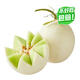 玉菇瓜1粒裝1kg