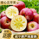 青惠悠正宗貴州威寧丑蘋(píng)果高原紅富士冰糖心平果畢節雪山特產(chǎn)新鮮水果 10斤精選【24顆裝】