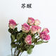 愛(ài)滿(mǎn)云南干花花束玫瑰花薔薇ins北歐風(fēng)小清新客廳裝飾家居擺件DIY花材 蘇醒（10支）