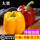 辰實(shí) 【順豐發(fā)貨中】五彩圓椒 彩椒 紅辣椒黃椒 水果甜柿子椒 5斤 （紅+黃）