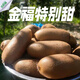 舌鮮愛(ài)陜西周至金福獼猴桃綠心奇異果新鮮水果純甜味硬果削皮即食獼猴桃 精選大果凈重4.3斤以上（22-24枚）