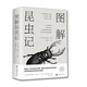 圖解昆蟲(chóng)記（經(jīng)典珍藏版）科學(xué)探索昆蟲(chóng)世界的無(wú)窮奧秘 傳世經(jīng)典暢銷(xiāo)不衰科普巨著(zhù)讀物