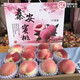 甘賢甘肅天水秦安水蜜桃【順豐空運】北京七號果園現(xiàn)摘秦安大桃可撕皮 16枚（精選禮盒裝） 北京七號（單果5-6兩）