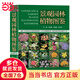 景觀園林植物圖鑒（一部景觀園林植物分類與應(yīng)用的大型工具書，1618種，3000余幅彩圖銅版紙精美印刷）