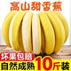 采蘩高山大香蕉當(dāng)季新鮮水果香甜糯長香蕉現(xiàn)摘自然熟小米蕉非芭蕉 精選果5斤