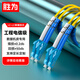 勝為（shengwei）電信級光纖跳線 LC-LC（UPC）單模雙芯入戶光纖線 低煙無鹵環(huán)保外被 收發(fā)器尾纖10米FSC-507