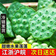 鮮級佳新鮮蓮蓬現(xiàn)摘生吃甜嫩蓮子米 浙江太空蓮當(dāng)季時令孕婦水果整箱 凈重3斤新鮮蓮蓬【冰袋保鮮】