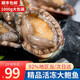 混元獸鮮活冷凍大號鮑魚(yú)8-10頭 1000g 新鮮鮑魚(yú) 生鮮冷凍貝類(lèi)  鮮凍鮑魚(yú)1000g【16-20只】
