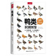 鴨類識別圖鑒（觀鳥人的“鴨寶書”，54種鴨類的“全羽衣”圖鑒（覆蓋各個年齡、性別）！1500余幅手繪&照片，科學(xué)的鳥種認知，實用的設(shè)計編排，一書助你從容觀鴨?。? title=