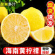 探味君 海南黃檸檬 大果新鮮水果生鮮 莫吉托 產(chǎn)地直發(fā)帶箱 3斤 凈重2.8斤