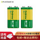 德力普（Delipow） 9V充電電池 9伏鋰電池大容量550mAh充電器套裝6F22萬(wàn)用表麥克風(fēng)