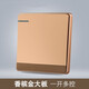 國際電工（USP） 面板家用電源插座86型開(kāi)關(guān)插座面板D60香檳金大板 一開(kāi)多控