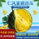 富硒特小鳳小西瓜黃色黃心黃壤沙瓤新鮮水果孕婦冰淇淋小西瓜整箱 隨機2到4個(gè)裝帶包裝共六斤