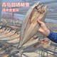 青島特色甜淡曬鲅魚(yú)干一鹵鮮半干不咸馬鮫魚(yú)干新曬咸魚(yú)干 半干不咸鲅魚(yú)干4斤共4條