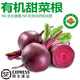 諸氏橙品【有機】甜菜根 現(xiàn)挖紅菜頭紫甜菜 榨汁沙拉食材云南新鮮蔬菜整箱 【有機紅甜菜】 1.5KG嘗鮮裝