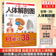 3D人體解剖圖 人體肌肉解剖運動解剖學 衛(wèi)生解剖生理學專業(yè)基礎(chǔ)醫(yī)學書