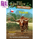 神奇樹(shù)屋小百科39 Magic Tree House Fact Tracker #39 Texas 魔法樹(shù)屋 英文原版進(jìn)口圖書(shū) 小初文學(xué)英語(yǔ)課外閱讀