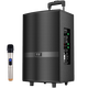 索愛（soaiy）SA-F35廣場舞音響戶外拉桿音箱消音唱歌音響電腦電 SA-F35(8英吋)+1個無線話筒