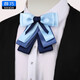 薛巧職業(yè)領(lǐng)結(jié)領(lǐng)花領(lǐng)帶飄帶蝴蝶結(jié)銀行空姐酒店女襯衣領(lǐng)裝商務(wù)藍(lán)色 E款藍(lán)色領(lǐng)結(jié) 系帶款