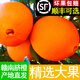 東西農正宗贛南臍橙產(chǎn)地直發(fā)當季新鮮孕婦柑橘水果大果10斤江西贛州橙子 5斤裝80MM大果