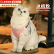 佳惠德貓咪牽引繩可調(diào)節(jié)背心式外出遛貓繩小貓牽引繩防掙脫貓繩胸背帶 冰桃粉【透氣胸背帶】 S【建議胸圍36-40cm體重12斤內(nèi)】