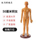 政河針灸穴位人體模型經(jīng)絡(luò )穴位模特圖全身中醫十二經(jīng)絡(luò )銅人可扎針小皮 52厘米銅色女硬質(zhì)款/手臂可轉超清刻字
