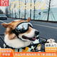 貝初眾狗狗護目鏡墨鏡寵物眼鏡中小型犬防風(fēng)眼鏡柯基邊牧太陽(yáng)眼鏡墨鏡 M碼【頭圍28-52】適用約8-22斤 黑色墨鏡