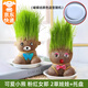 綠有意草頭長(zhǎng)草娃娃頭上長(zhǎng)草兒童種植小盆栽種草綠植觀察植物生長(zhǎng)幼兒園 長(zhǎng)草小熊+粉紅女郎+托盤+液