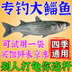 祥釣翁鯔魚(yú)專(zhuān)用餌料咸淡水黑坑湖泊烏頭黑鯛白眼魚(yú)野釣腥香味四季通用型 買(mǎi)2 送1【90%魚(yú)友選擇】