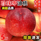A佳正宗珍珠棗油桃新鮮水果5斤當(dāng)季現(xiàn)摘蜜桃白肉紅皮脆甜桃子大果整X 帶箱5斤 優(yōu)選（限時(shí)熱銷(xiāo)）