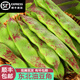 半畝莊園東北油豆角新鮮蔬菜現(xiàn)摘一點紅油豆角特產(chǎn)整箱【順豐】 3斤