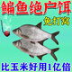 主攻鳊魚(yú)餌料釣魚(yú)餌料誘魚(yú)劑野釣武昌魚(yú)鳊魚(yú)專(zhuān)用餌料濃腥香打窩料 【三包】試用