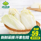 小湯山 娃娃菜 約400g 新鮮蔬菜基地種植當(dāng)天采摘