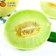 京鮮配  正宗海陽網(wǎng)紋瓜 蜜瓜新鮮水果當季 冰淇淋甜瓜 6個裝（精選果）