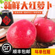 林中山【順豐發(fā)貨】東北大紅蘿卜紅皮白心大紅袍圓蘿卜新鮮農(nóng)家甜脆生吃 5斤