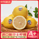 優(yōu)味集【JD速運】黃檸檬整箱進(jìn)口水果新鮮香水無(wú)籽檸檬皮薄肉厚多汁鮮果 商超級單果120-150g 250g凈重裝（試嘗鮮-貴在運費）