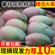 枝遙（ZHIYAO）四川攀枝花凱特芒10斤現(xiàn)摘現(xiàn)發(fā)大青芒果貴妃芒甜芒果整箱當季水果 凱特芒  5斤裝大果