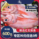 海樸紅石斑魚深海魚大眼富貴魚深海魚海鮮水產(chǎn)