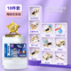 凱蒂奧兒童科學(xué)小實驗套裝小學(xué)生玩具幼兒園科技小制作diy手工器材料包 海陸空十套【禮盒裝】帶60個拓展