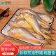 鹿凌青 新鮮梅童魚(yú) 海捕大梅童 冷凍大頭寶 獅頭魚(yú) 梅子魚(yú) 海產(chǎn)海鮮魚(yú)類(lèi) 【鮮凍梅童魚(yú)】2斤(22-26條/斤)