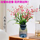 金邊蘭建蘭大圣荷可水培蘭花室內陽(yáng)臺花卉濃香好養易活綠植盆栽 文心蘭紅色帶4支生花劍帶北歐水培盆